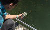 Simon Stüdeli misst Wasserqualität mit digitalem Gerät am Steg.