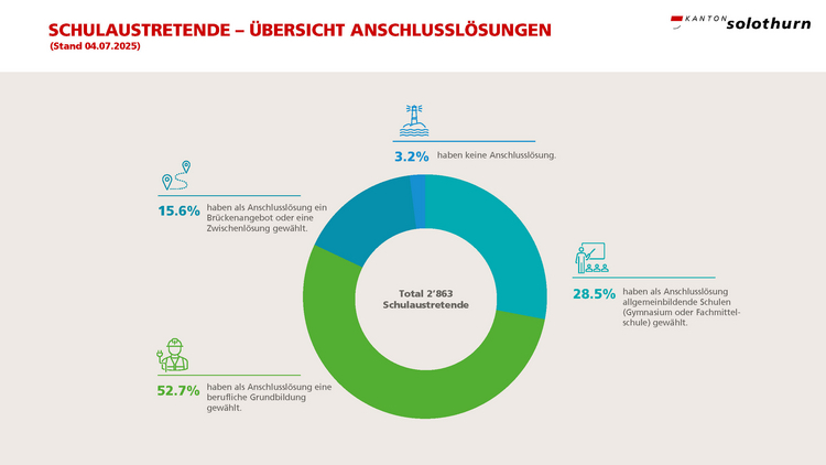 Kreisdiagramm über die prozentuale Aufteilung der Anschlusslösungen