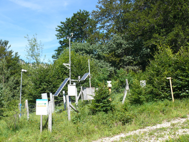 Langfristige_Waldoekosystem-Forschung_Messtation_Stockmaetteli.jpg