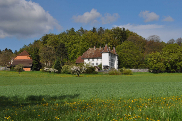 Das Herrenhaus des Königshofs und seine grosse Scheune (links im Bild) liegen inmitten einer unverfälschten Kulturlandschaft.
Bildnachweis: Kantonale Denkmalpflege Solothurn