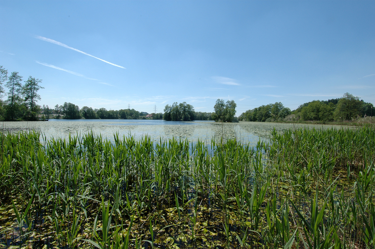 Inkwilersee Blick auf den Inkwilersee