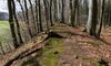 Wall bei Eppenberg-Wöschnau