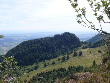 Bettlachstock_von_Kueferegg_aus.jpg