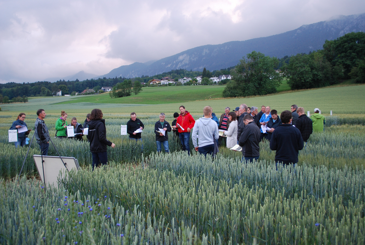 Sommertag 2020 Vorstellung Sortenversuch Winterweizen