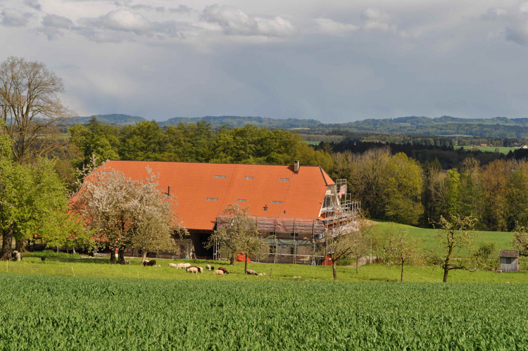 Der Bromegghof, ein alter Steckhof im Grüngürtel zwischen Solothurn und Biberist, in einer Aufnahme Richtung Süden.
Bildnachweis: Kantonale Denkmalpflege Solothurn