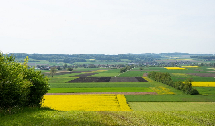 Vielfältige offene Ackerlandschaft in Grenchen, durchzogen mit Hecken und dem Bucheggberg im Hintergrund.