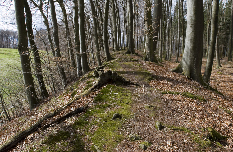Archäologie im Kanton Solothurn - Buechholz
