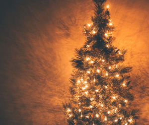mit angezündeten Kerzen läuchtender Weihnachtsbaum