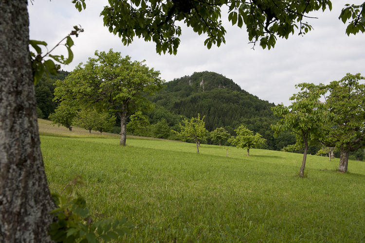 Landschaftsbild mit Portifluh als auffälliger Erhebung