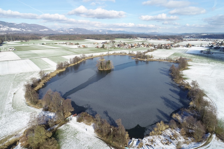 Die grosse Insel im Inkwilersee ist eine Fundstelle von internationaler Bedeutung
