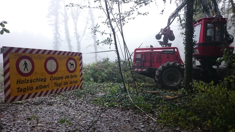 Absperrung, um Unbeteiligte von der Gefahrenzone fernzuhalten. 