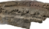 Fotogrammetrische Aufnahme der Castrumsmauer. 