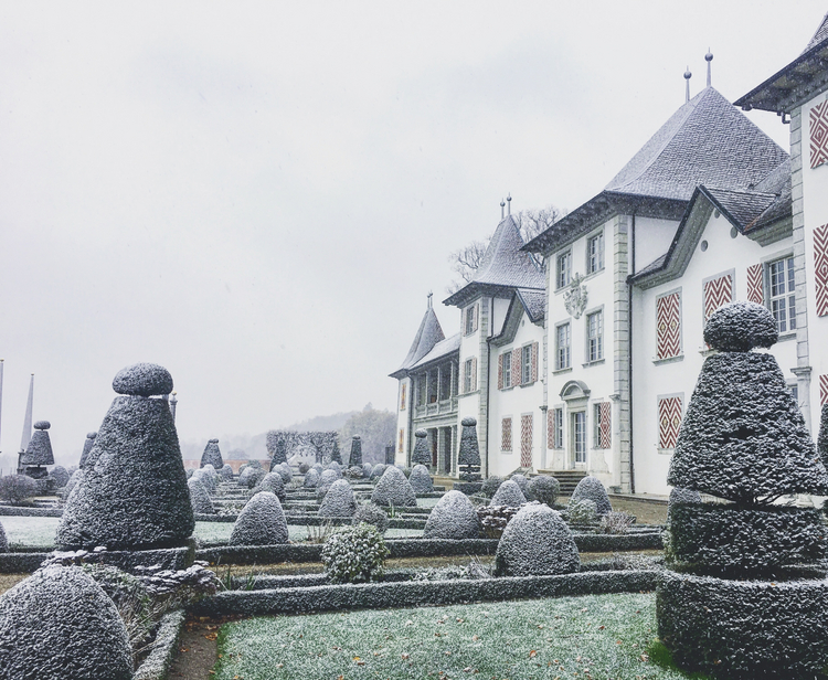 Erster Schnee auf Schloss Waldegg Aussenansicht Schloss Waldegg mit erstem Schnee auf Schloss, Bäumen und Pflanzen