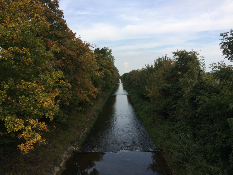 Dünnernkanal Sicht auf den Dünnernkanal