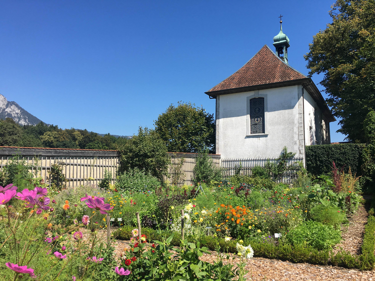 Schloss Waldegg, Nutzgarten mit Kapelle Schloss Waldegg, Nutzgarten mit Kapelle