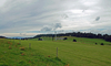 Grüne Wiese und wolkenbedeckter Himmel auf dem Grenchenberg.