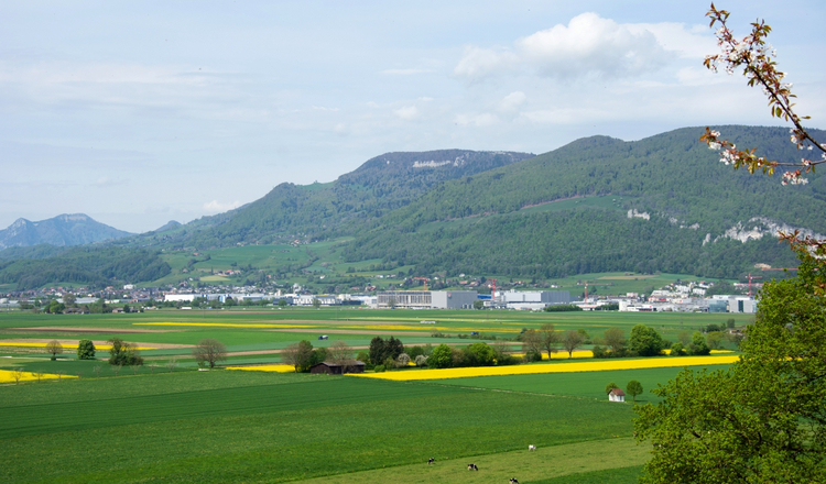 Sicht auf die Industrie um Gäu, welche mit der Landwirtschaft um den Boden konkurrenziert.
