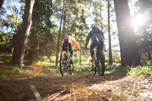 Zwei Personen am Mountainbiken im Wald ©iStock