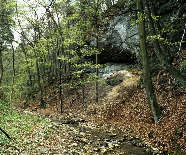 Die Fundstelle im Chesselgraben heute. Im Jahr 1985 fand hier eine archäologische Ausgrabung statt. Dabei kamen Spuren altsteinzeitlicher Jäger zum Vorschein (Foto: Jürg Stauffer)