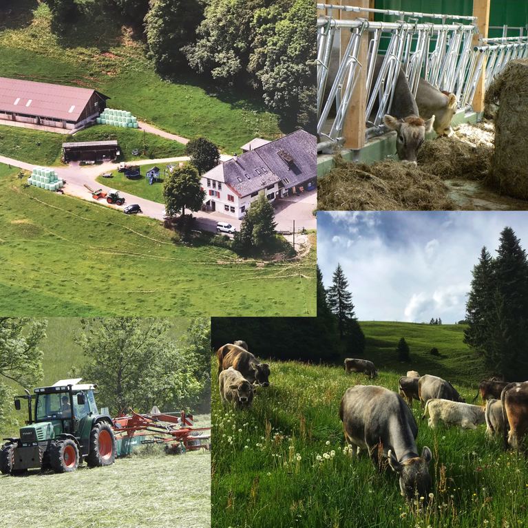 Collage Betrieg Niemetz Katurin, Mümliswil.