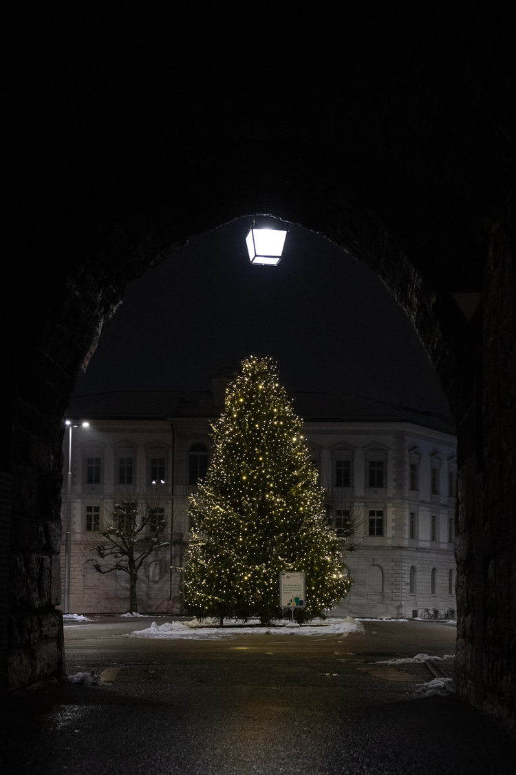 Beleuchteter Weihnachtsbaum auf dem Solothurner Amthausplatz bei Nacht, umrahmt vom Torbogen des Bieltors