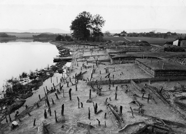 Foto einer Ausgrabung von 1944. Im Boden stecken viele Pfähle der Holzgebäude