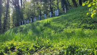 Scheibenanlage Kugelfang Bellach 300 m 