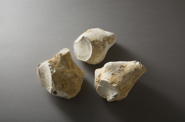 Archäologie im Kanton Solothurn - Feuerstein