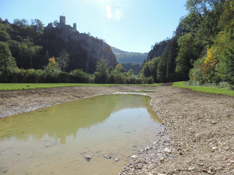 Inventar der Biotope und Moorlandschaften - Lobiseiweiher Balsthal Inventar der Biotope und Moorlandschaften - Lobiseiweiher Balsthal