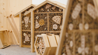 Insektenhaus