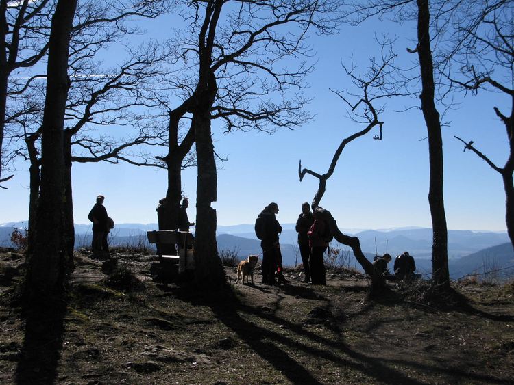 Richtplananpassung_Gempen Mehrere Personen stehen auf einem Berg umgeben von Bäumen.