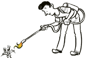 Abflammen Gartenchemiker Karikatur Einsatz Abflammgerät