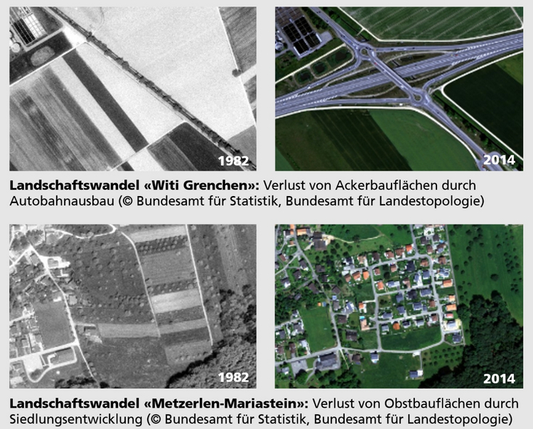 Veränderung der Landschaft zwischen 1982 und 2014. Landwirtschaftlich genutztes Land musste dem Autobahn- und Siedlungsbau weichen. 