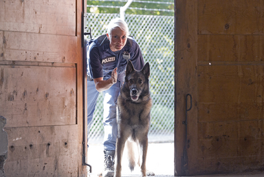 Hundeführer Polizeihund im Einsatz