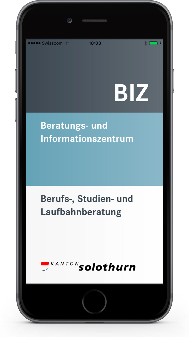 BIZ-App Startbild