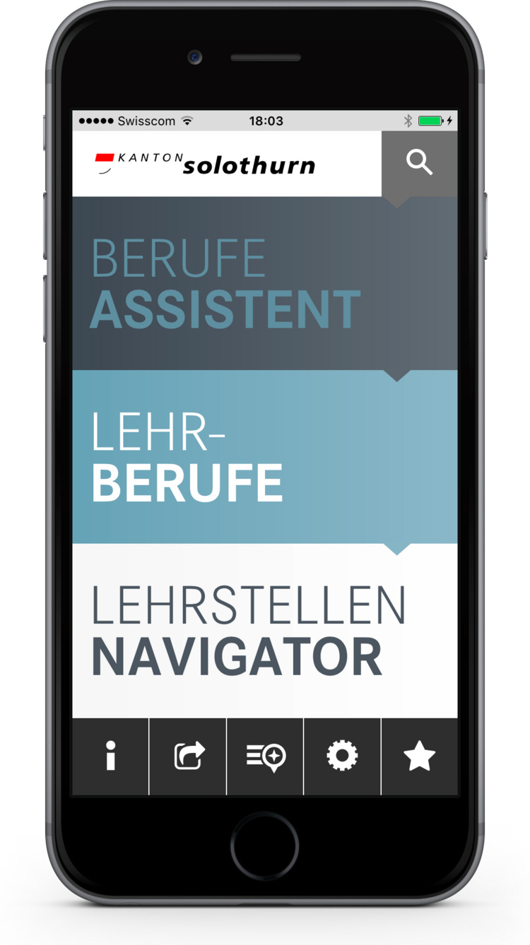 BIZ-App Home