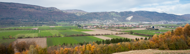 Blick auf das Gäu vom Jura her