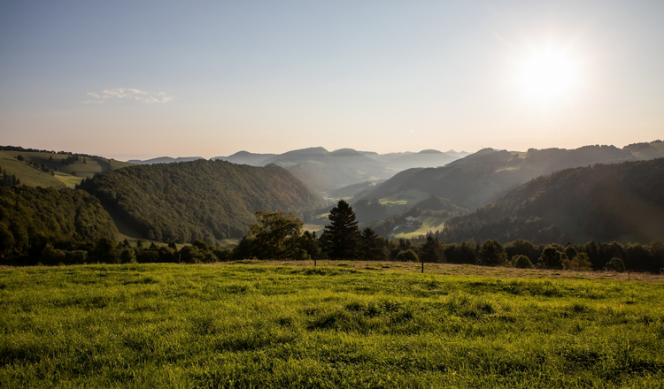 Blick ins Guldental bei Sonnenaufgang, links und rechts die sanften Hügel der zweiten Jurakette.