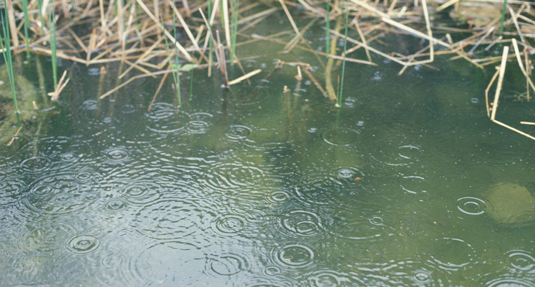 Regen klein Regentropfen im Wasser