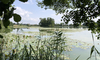 Landschaftsbild mit Inkwilersee und Insel
