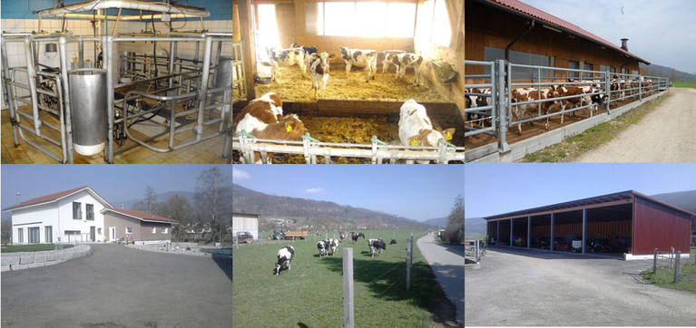 Betrieb Künzli Matthias, Laupersdorf Collage Betrieb Künzli Matthias, Laupersdorf.