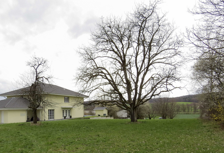 Reise in die kulinarische Vergangenheit von Rodersdorf - Rodersdorf Rodersdorf