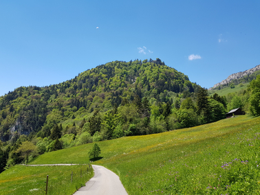 Bettlachstock__Ansicht_von_Osten.jpg