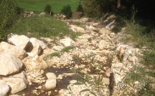 Beinahe ausgetrockneter Möschbach in Beinwil