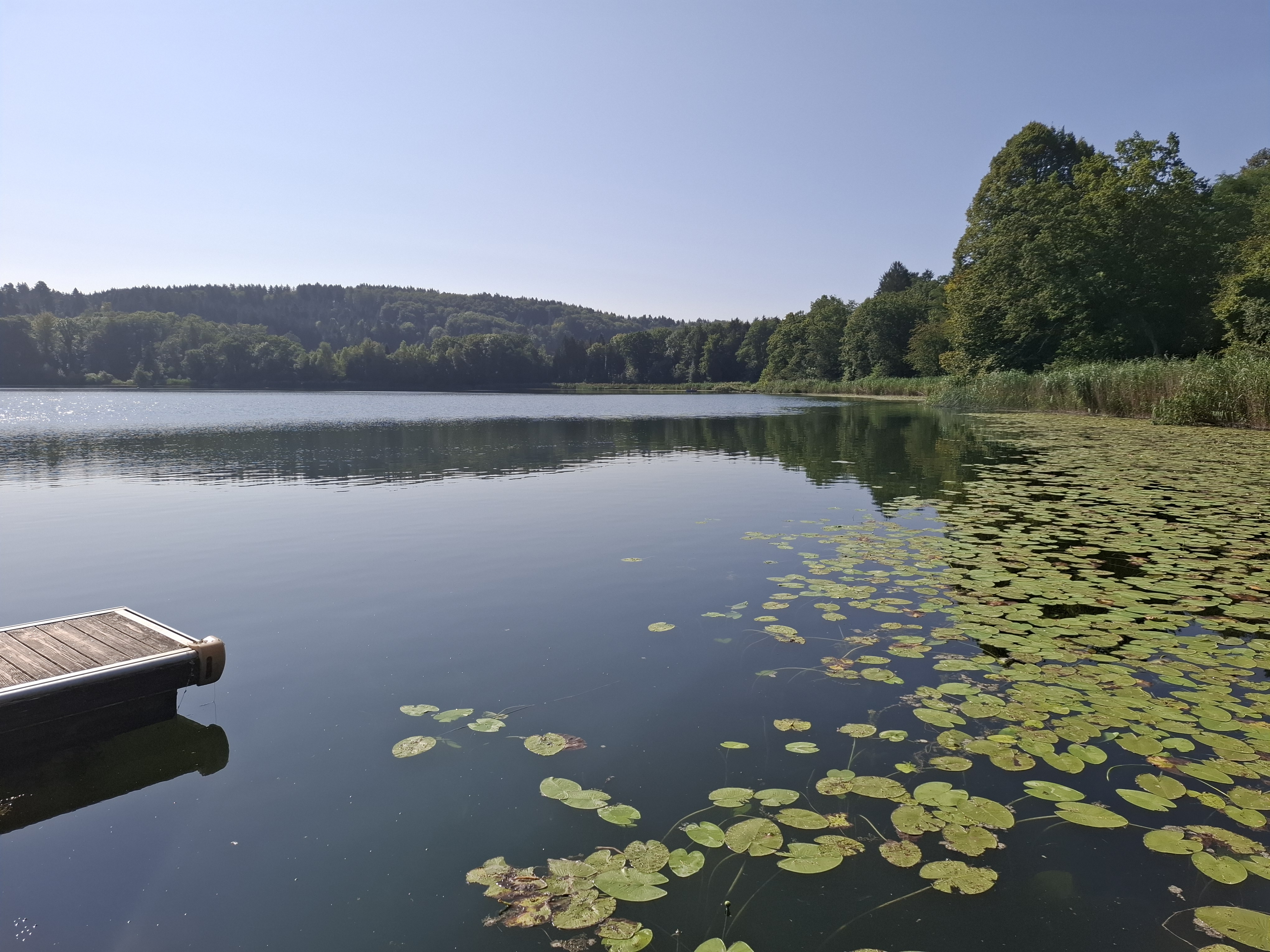Blick auf den Burgäschisee