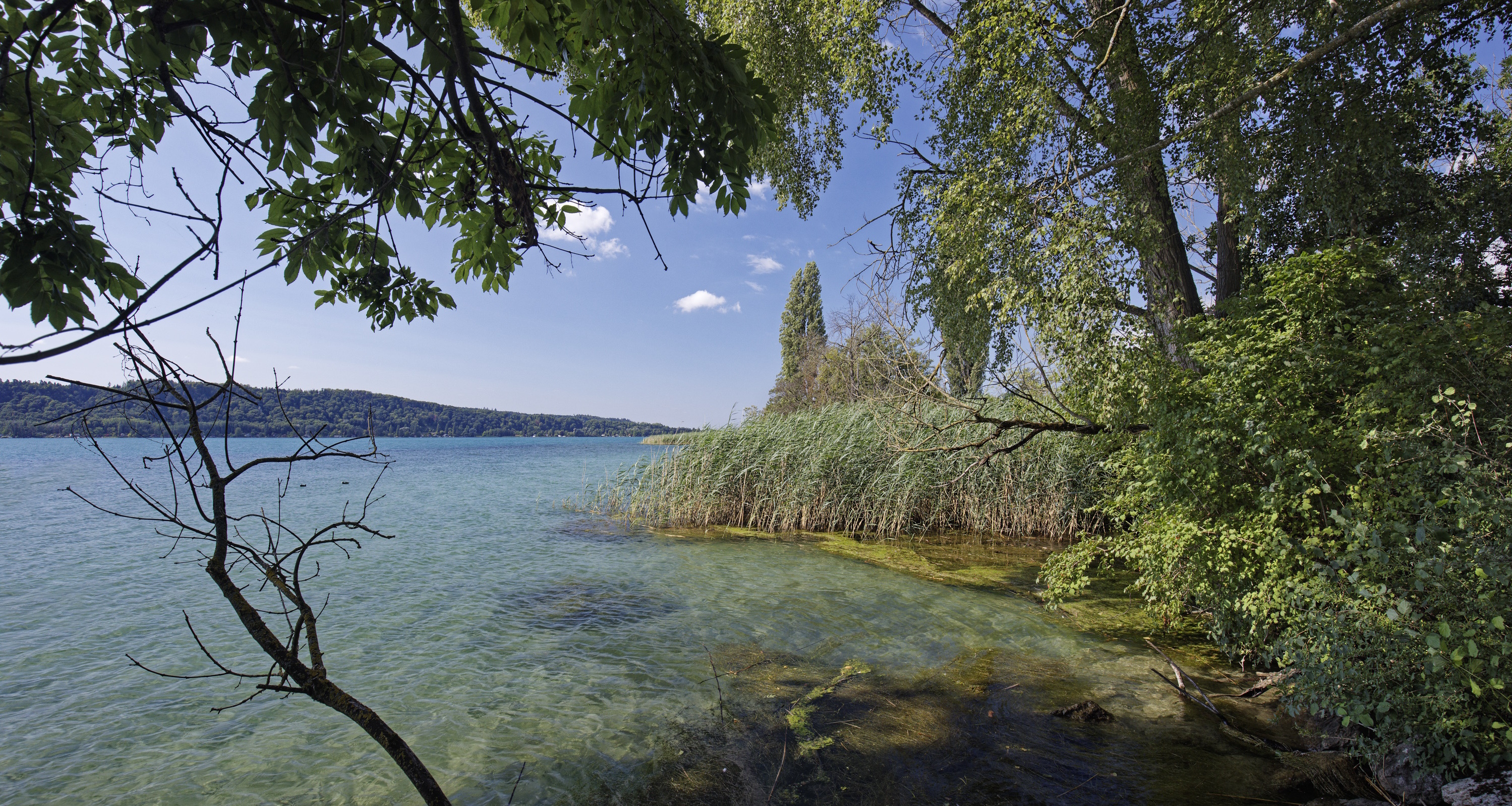 Natürliches Gewässerufer