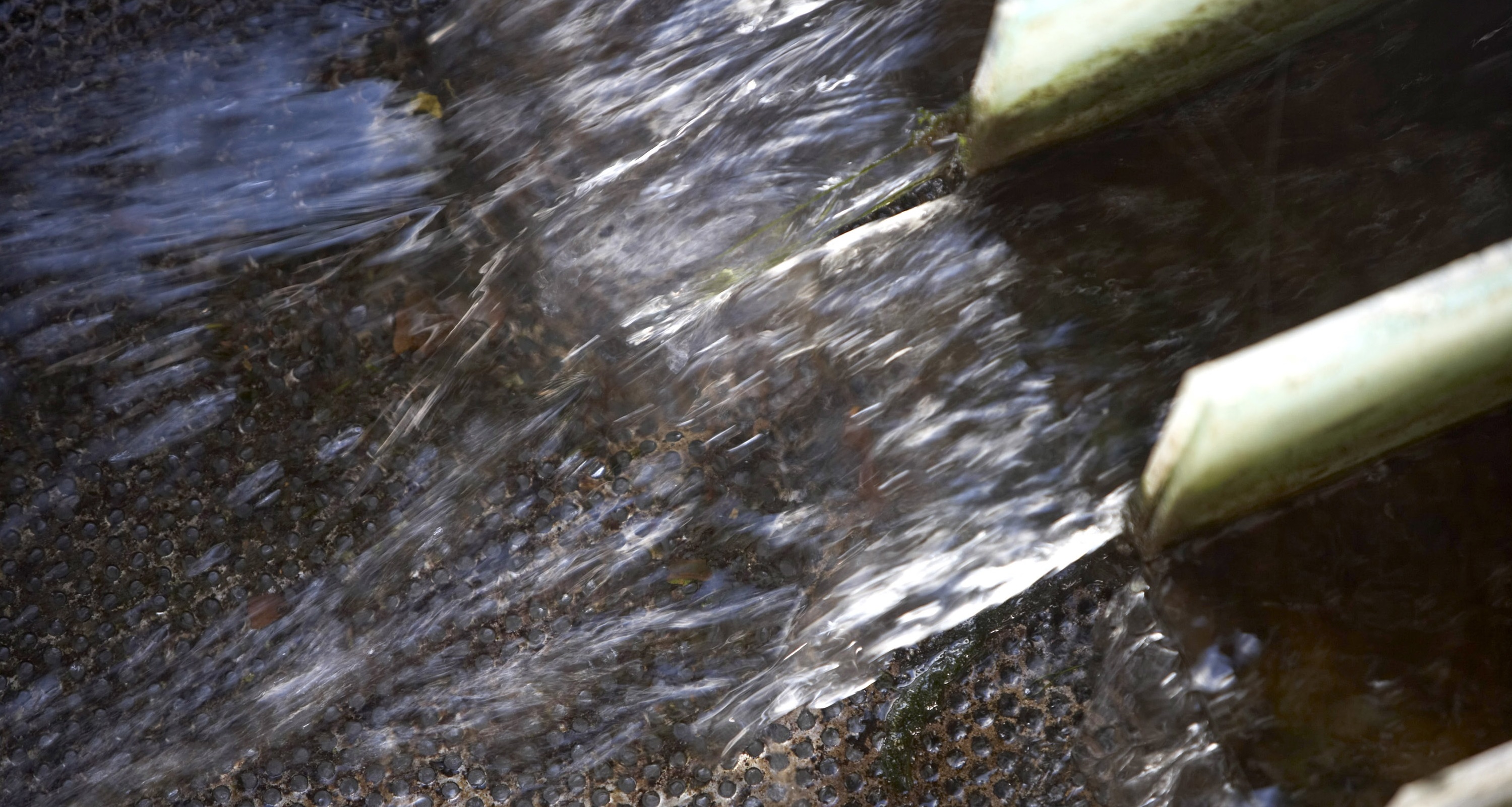 Membranreinigung Abwasser