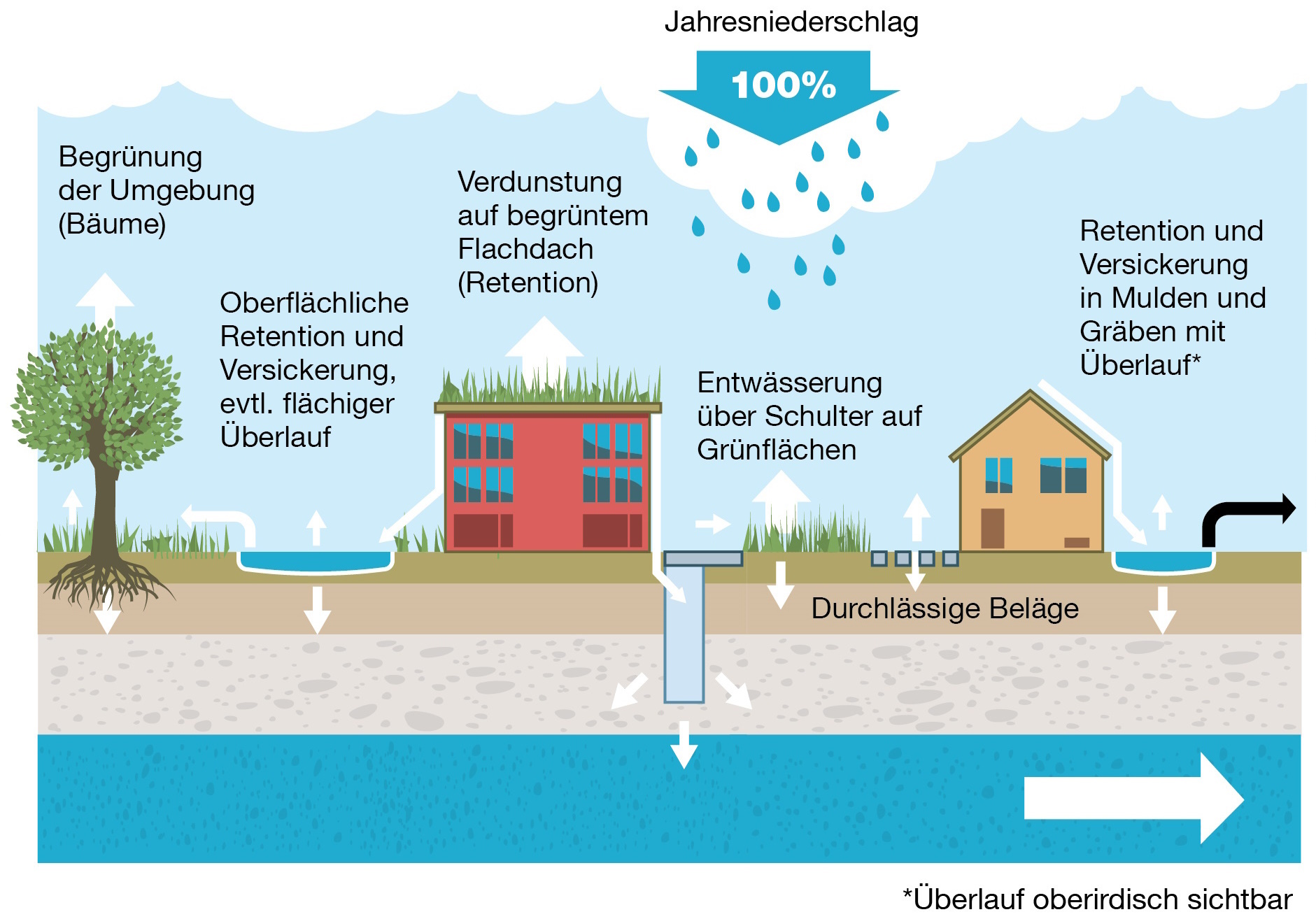 Grafikschnitt mit dem Regenwasserhaushalt