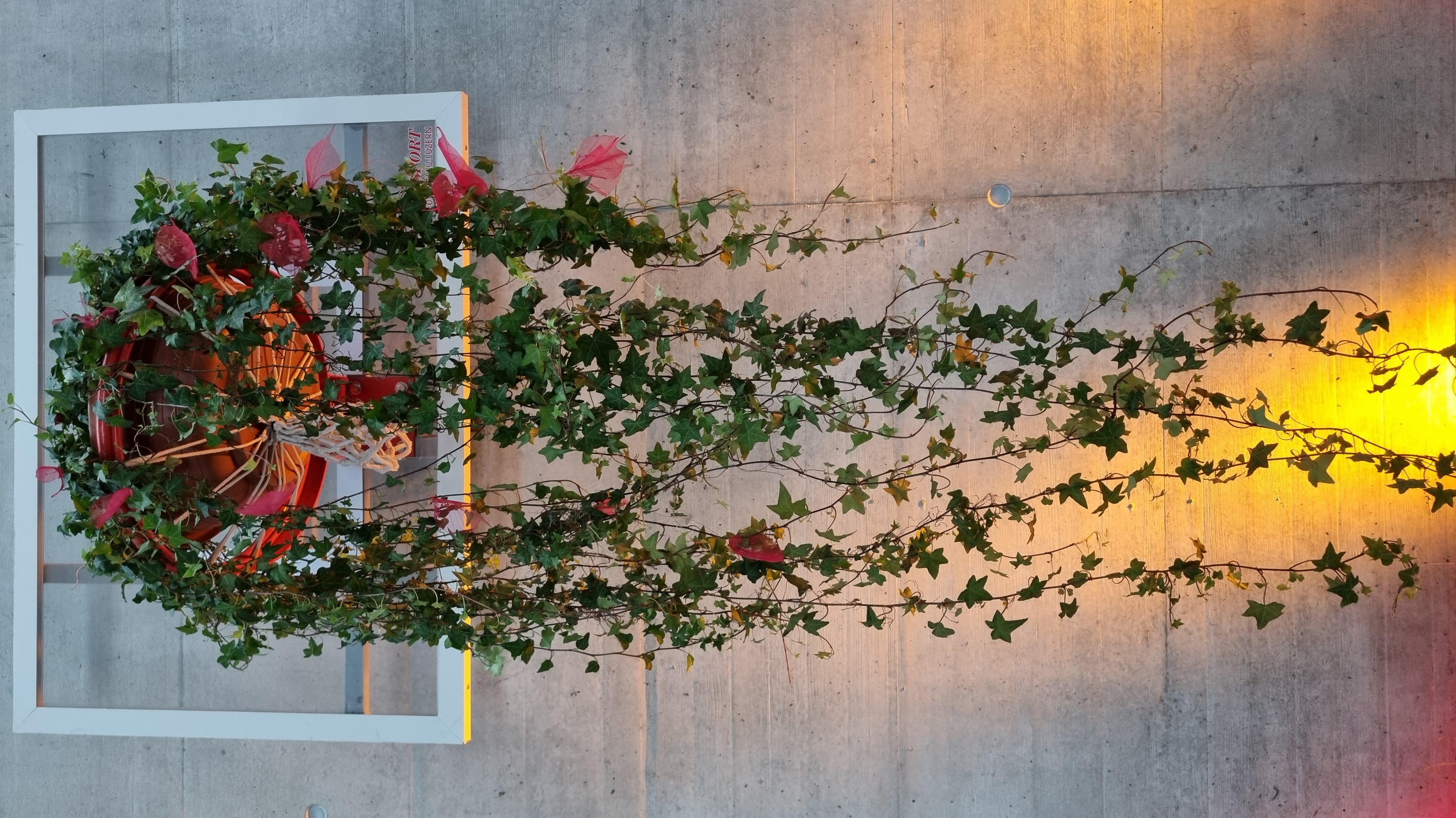 Fotos von der Sportpreisübergabe