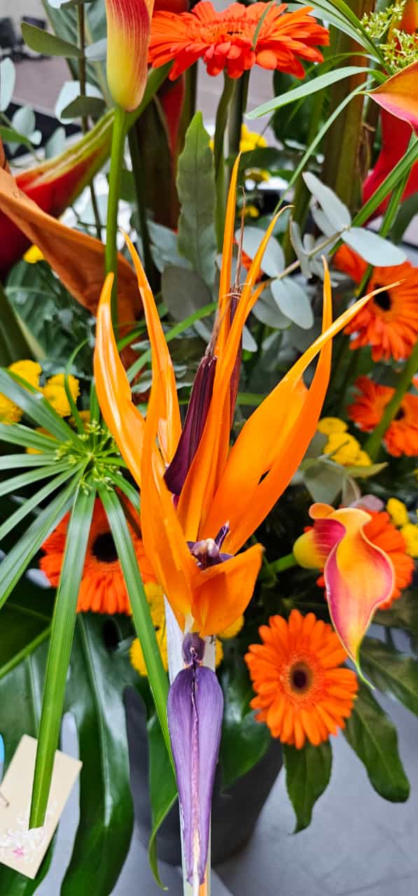 Fotos von der Sportpreisübergabe